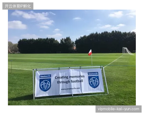 体育赛事商业闭环正在从单纯的赞助签约向精准的受众资产保值模式并轨