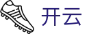 开云(Kaiyun)官方网站 - 手机网页版登录